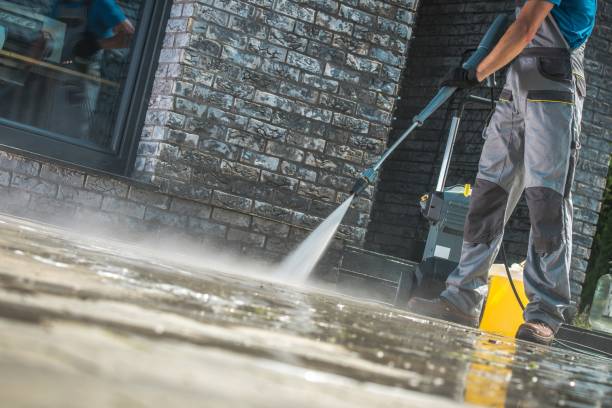 Best Spring Cleaning  in Waterville, MN