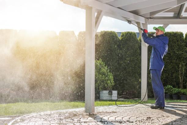 Best Sidewalk and Walkway Cleaning  in Waterville, MN