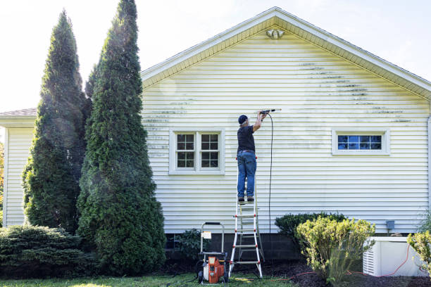 Best Building Exterior Washing  in Waterville, MN